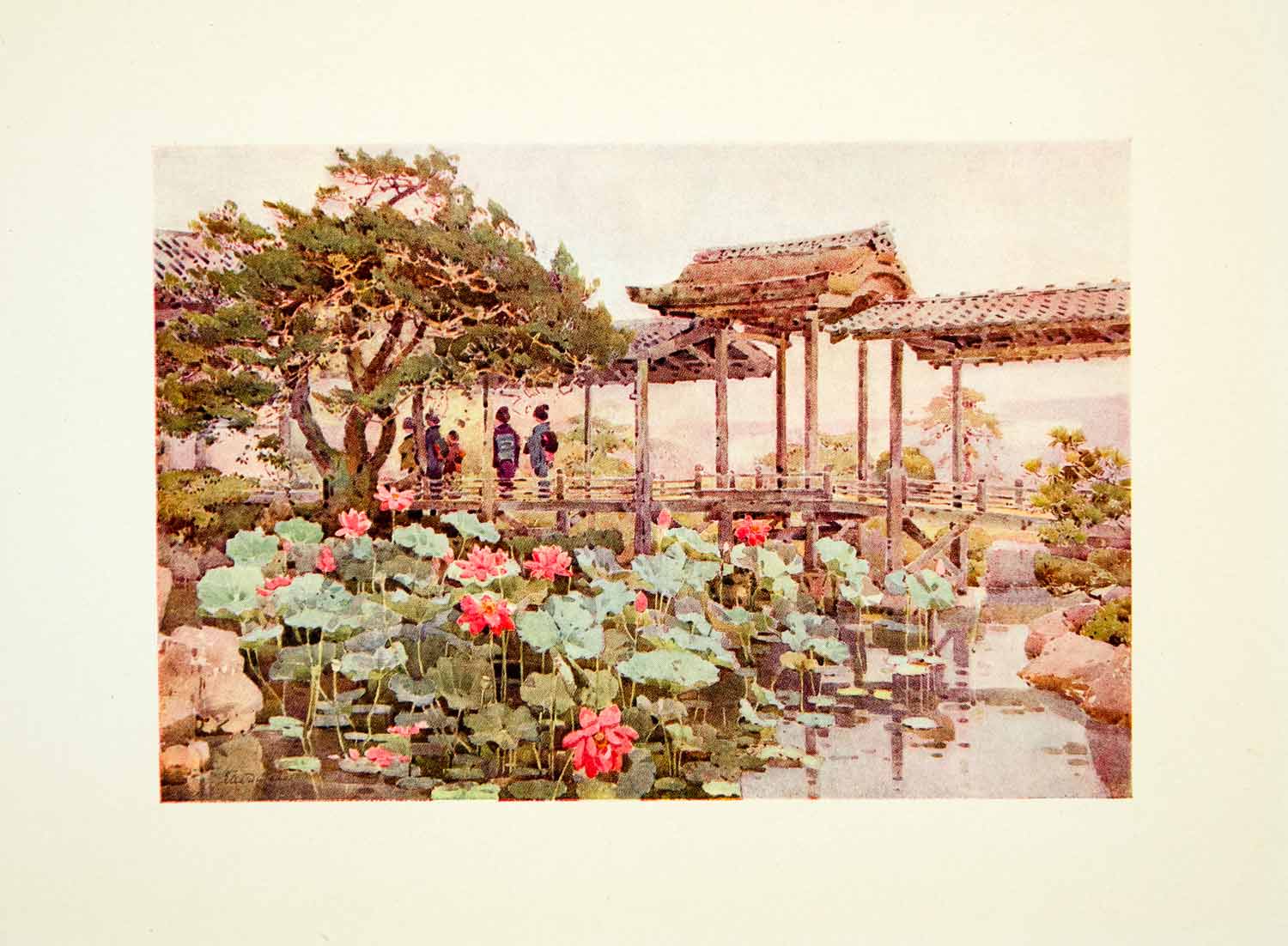 1908 Color Print Lotus Kodaiju Ella Du Cane Flower Lily Pad Pond Japan FGJ1