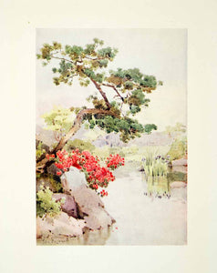 1908 Color Print Azalea Pine Tree Botanical Flower Floral Japan Ella Du FGJ1