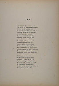 1838 Women Evergreen Ivy Vine Fanny Corbaux Engraving - ORIGINAL FL1