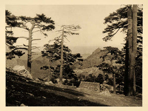 1927 Col de Bavella Corsica France Martin Hurlimann - ORIGINAL PHOTOGRAVURE FR2