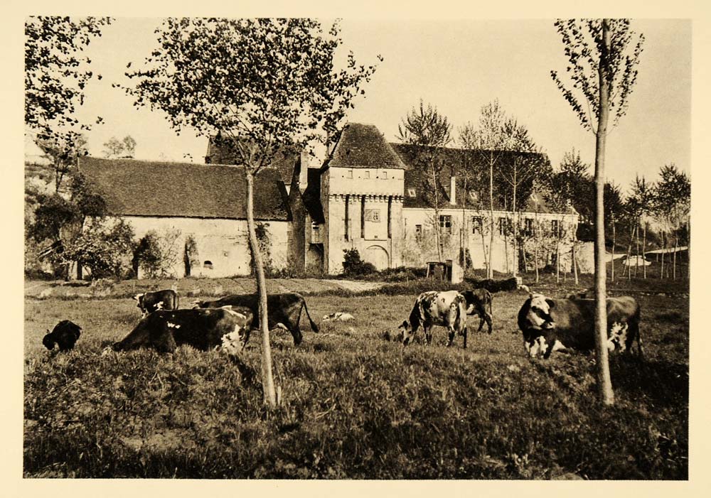1927 Chartreuse du Liget Monastery Cows Field France - ORIGINAL PHOTOGRAVURE FR2