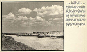 1934 Print Cattle Dry River Stream Bed Dakota Drought ORIGINAL HISTORIC FT3