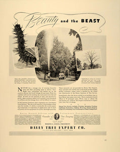 1939 Ad Davey Tree Expert Co. Spiny Elm Caterpillar - ORIGINAL ADVERTISING FT6