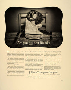 1939 Ad J. Walter Thompson Company Advertising Dog Food - ORIGINAL FT6
