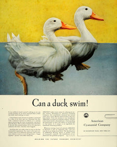 1940 Ad American Cyanamid Two Ducks Swimming Aerosol - ORIGINAL ADVERTISING FT6