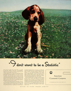 1941 Ad American Cyanamid Puppy Lederle Labs Distemper - ORIGINAL FT6