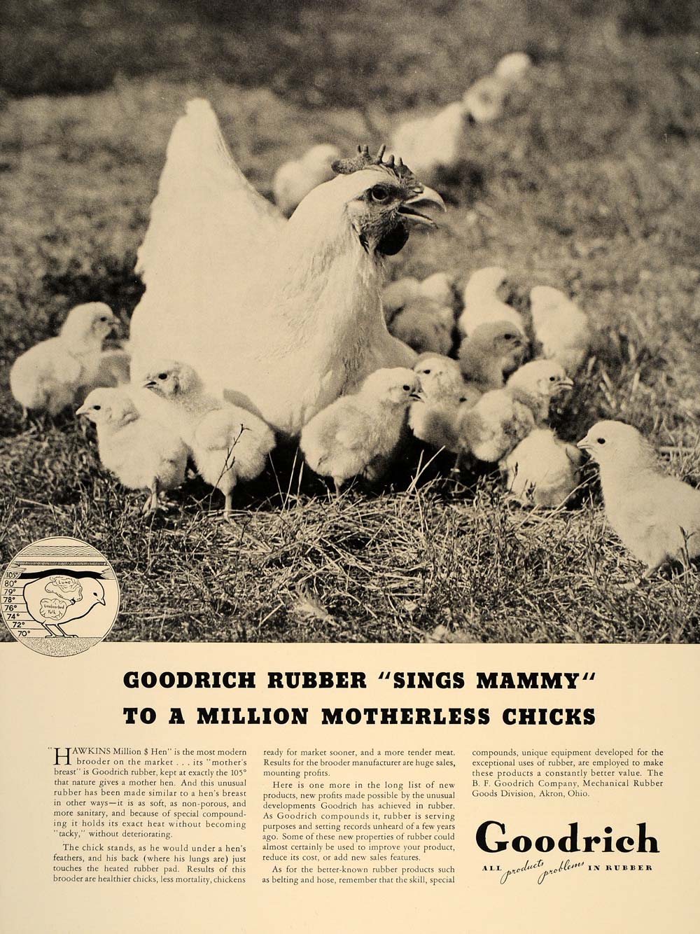 1937 Ad B. F. Goodrich Rubber Products Hen Chicks Akron - ORIGINAL FT8