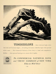 1937 Ad Commercial National Bank Trust NY Timberline - ORIGINAL ADVERTISING FT8