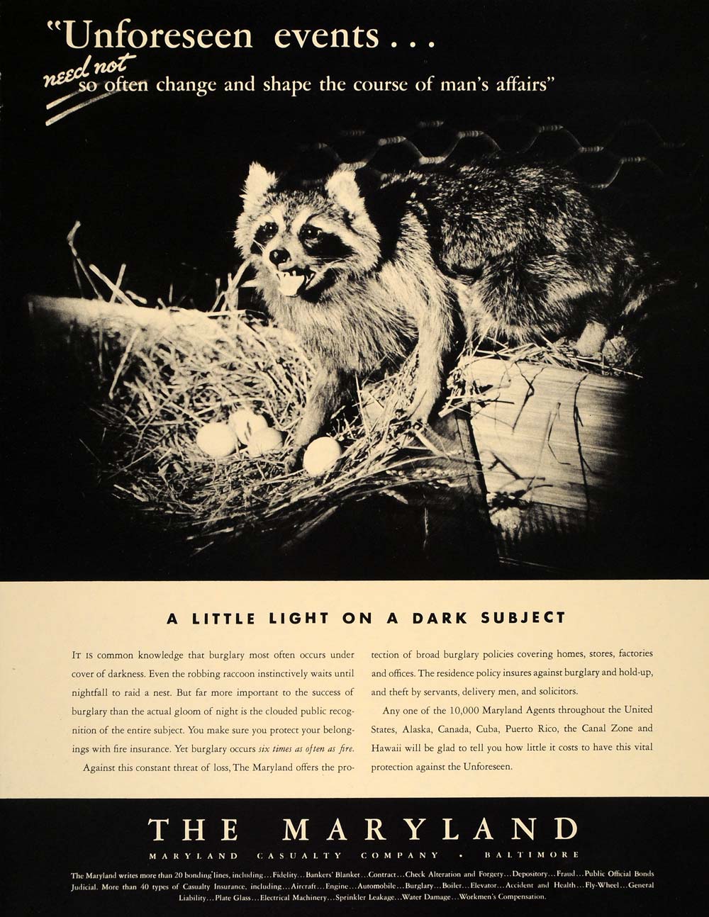 1937 Ad Maryland Casualty Company Baltimore Raccoon - ORIGINAL ADVERTISING FT8