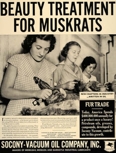 1937 Ad Socony Vacuum Oil Muskrat Fur Industry Trade - ORIGINAL ADVERTISING FT8