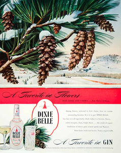 1946 Ad Dixie Bell Distilled Gin Pine Cone Winter Snow Alcohol Beverage FTM1