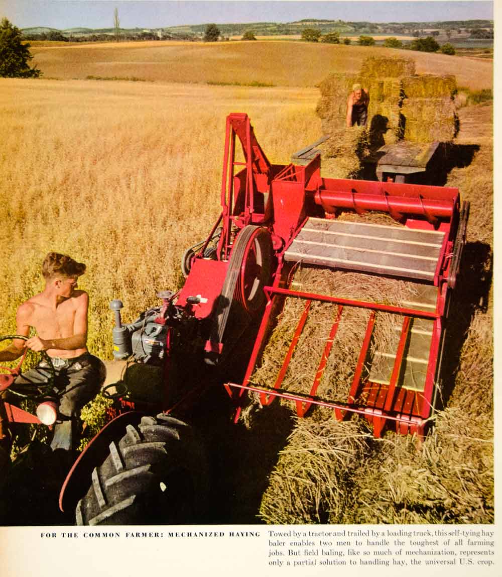 1948 Color Print Haying Haystacks Field Tractor American Baler Agriculture FTM3