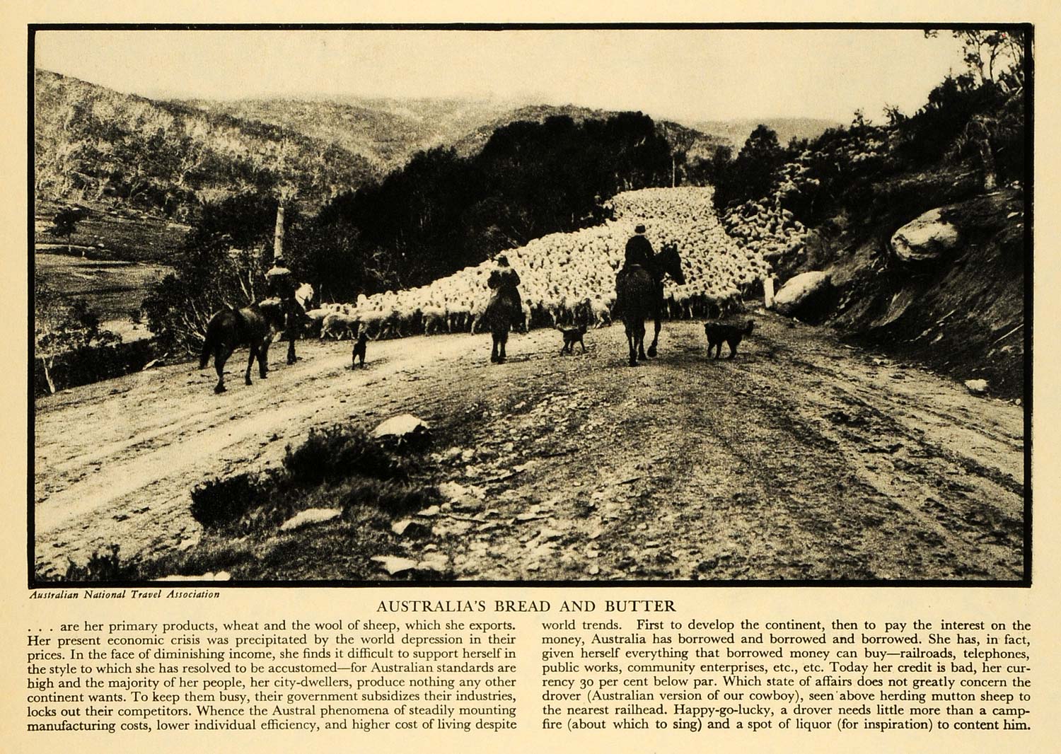 1931 Print Flock Sheep Australia Agriculture Farming Travel Horse Dog FZ1