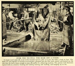 1935 Print Hair Steer Tannery Leather Bath Cow Clothing Hide Lime Industry FZ2