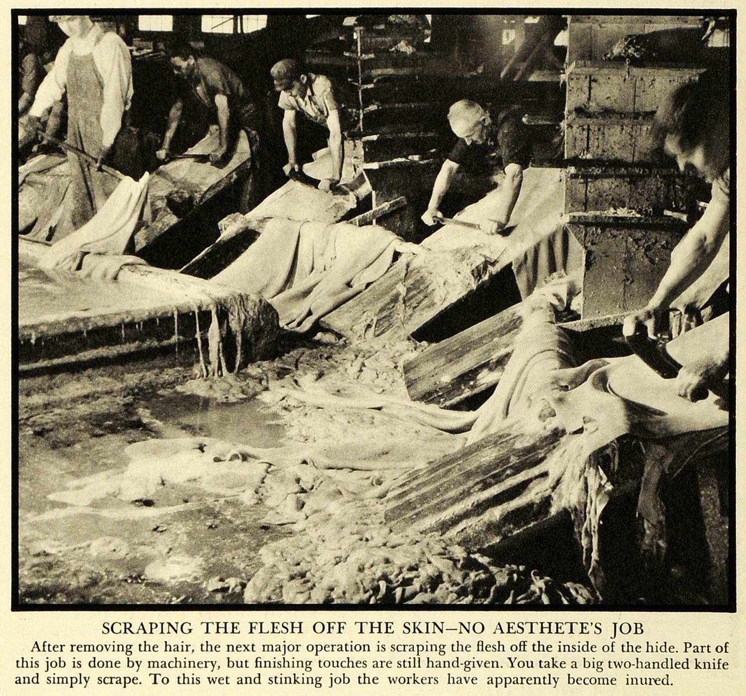 1935 Print Tannery Skin Flesh Steer Cow Hide Workers Machinery Bath Bovine FZ2