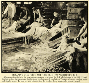 1935 Print Tannery Skin Flesh Steer Cow Hide Workers Machinery Bath Bovine FZ2