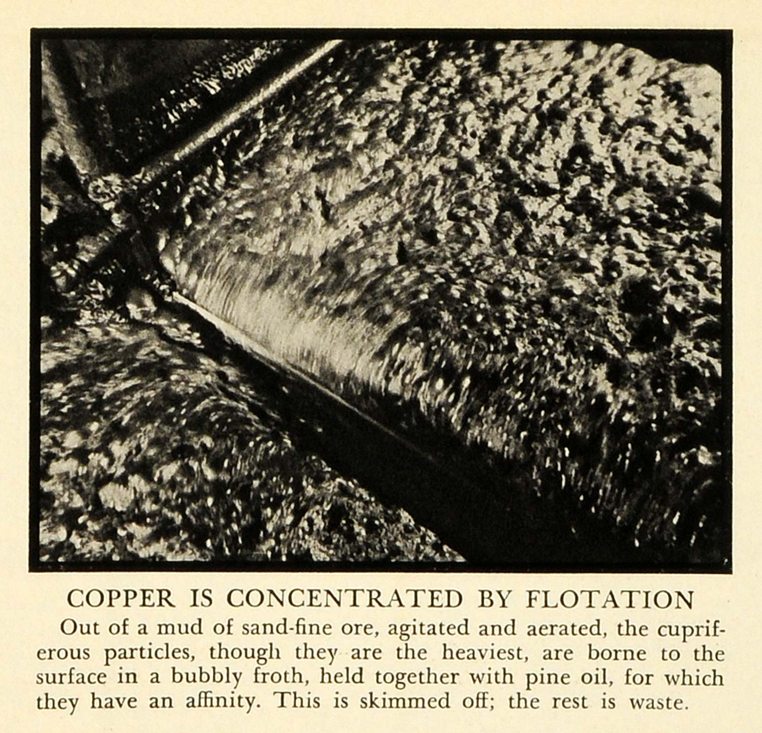 1936 Print Copper Ore Pine Oil Anaconda Copper Mining Miner Prospecting FZ2