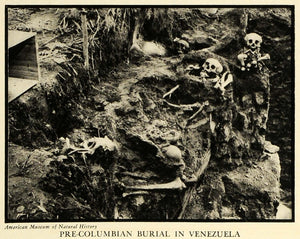 1936 Print Columbian Burial Venezuela Skeleton Death Archaeology Museum FZ2