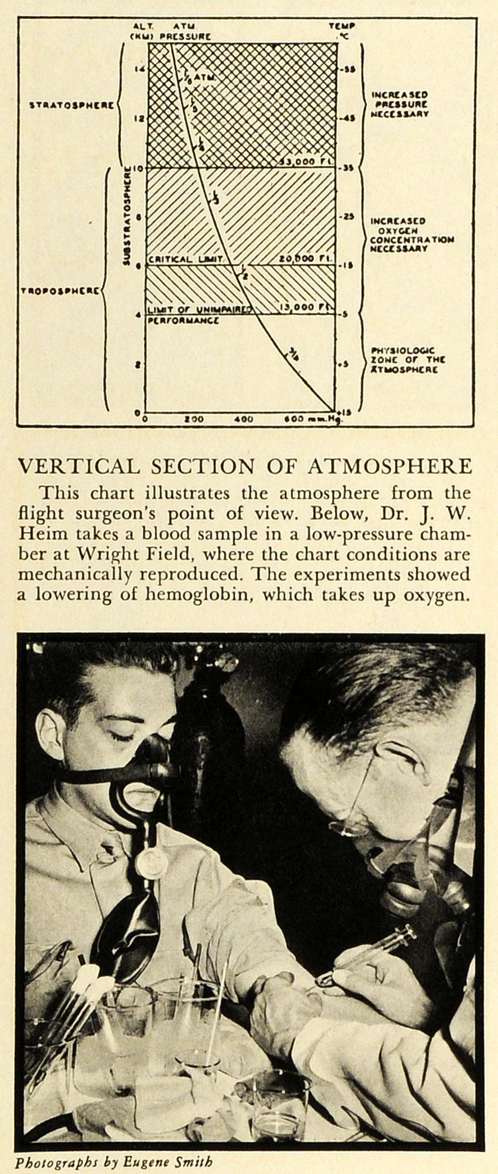 1940 Print Wright Field Riverside Ohio Heim Blood Chart Hemoglobin Aviation FZ2