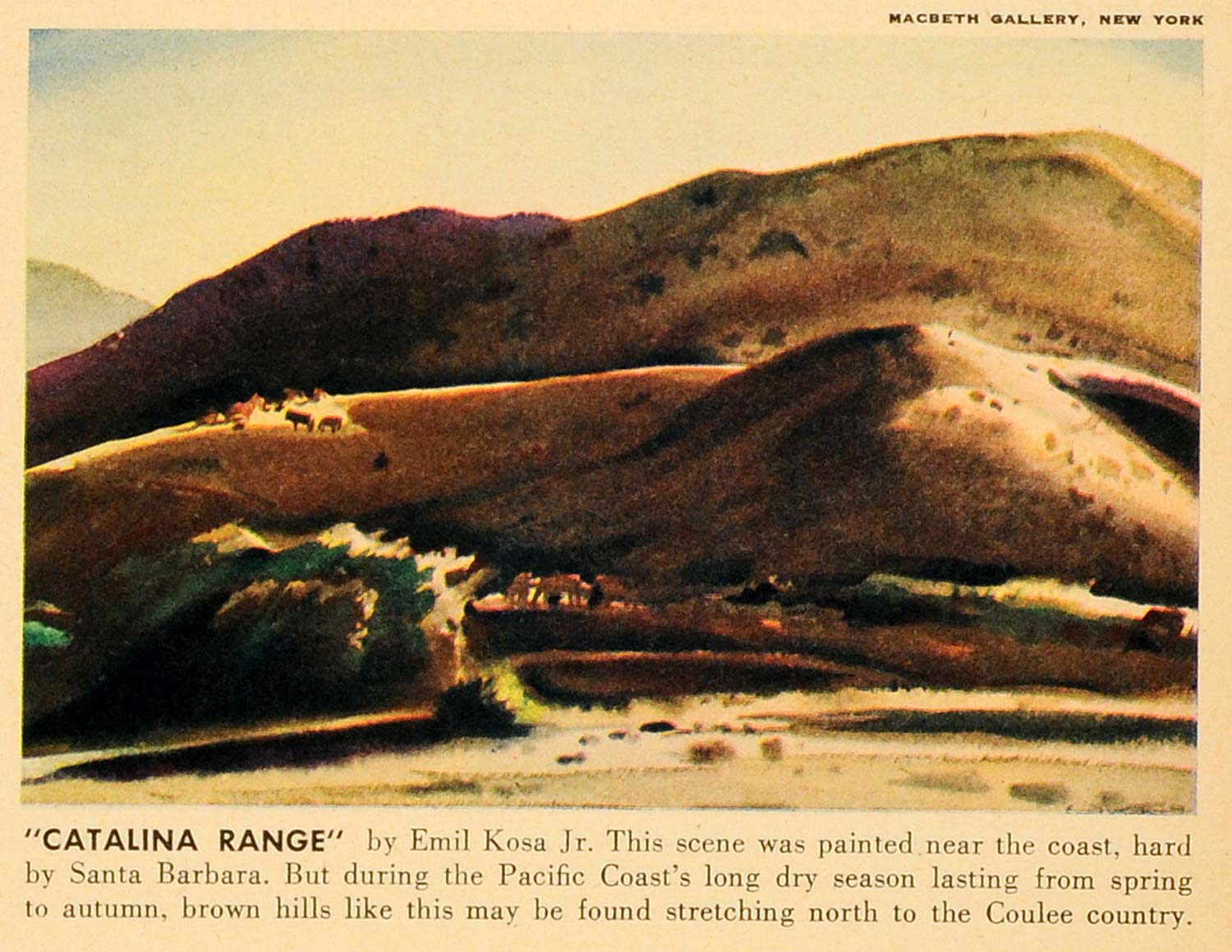1942 Print Catalina Range Emil Kosa Jr Scene Santa Barbara California FZ7