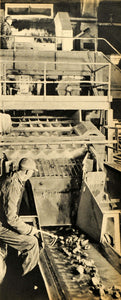 1945 Print Mining Geology United State Steel Trout Lake Plant Mesabi Range FZ7
