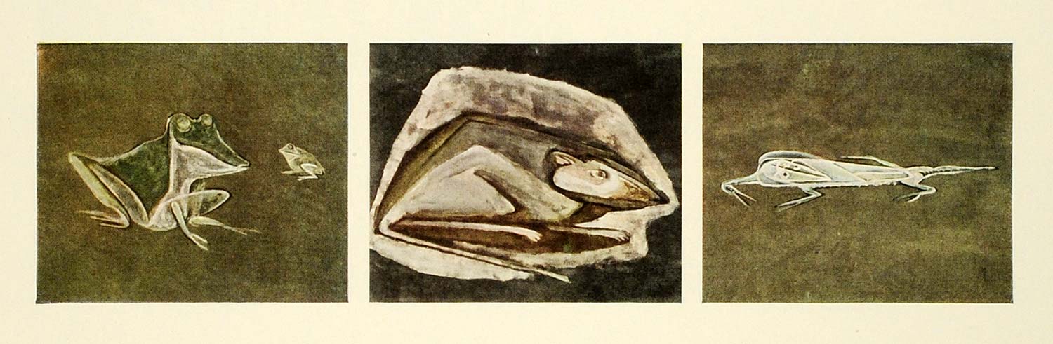 1945 Print Wildlife Frog Iguana Mouse Mammal Animal Reptile Amphibian Van FZ7
