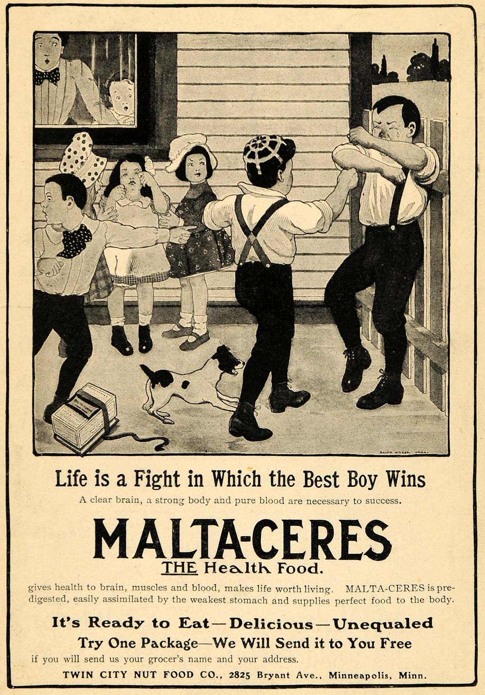 1903 Ad Kids Fighting Malta-Ceres Health Food Strength - ORIGINAL GH2