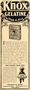 1909 Ad Charles Knox Johnstown New York Sparkling Gelatine Dessert Gelatin GH3