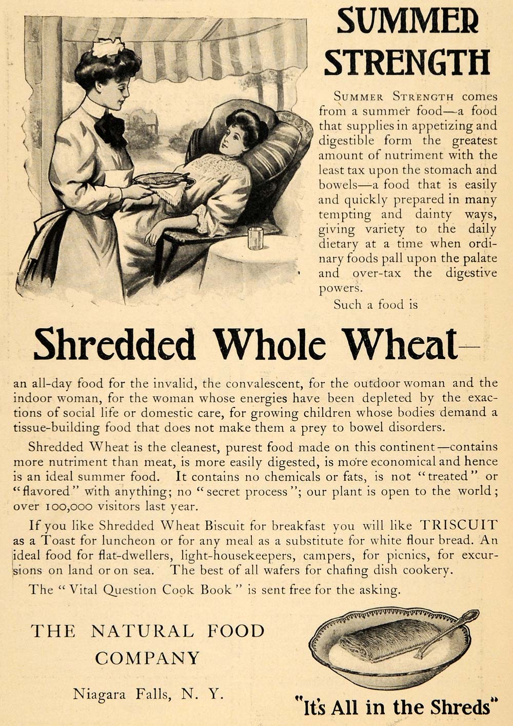 1906 Ad Natural Food Shredded Whole Wheat Maid Triscuit - ORIGINAL GH3