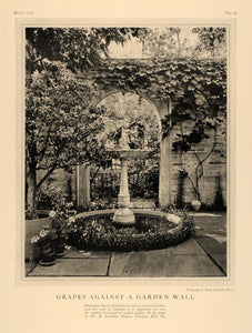 1928 Print Grape Vine Garden Wall B. Franklin Pepper - ORIGINAL HISTORIC GHB1