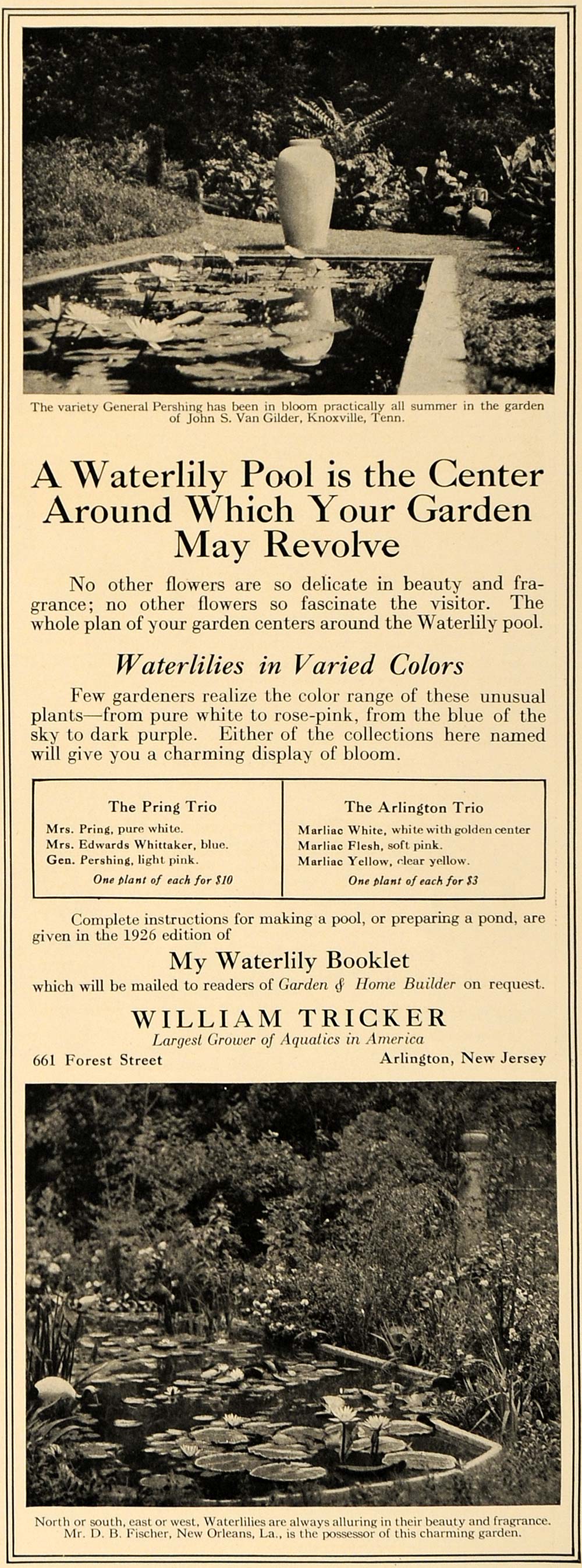 1926 Ad William Tricker Waterlily Pool Garden Aquatics - ORIGINAL GHB1