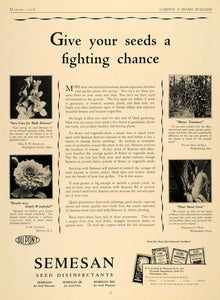 1928 Ad Semesan Seed Disinfectants Gardening Landscape - ORIGINAL GHB1