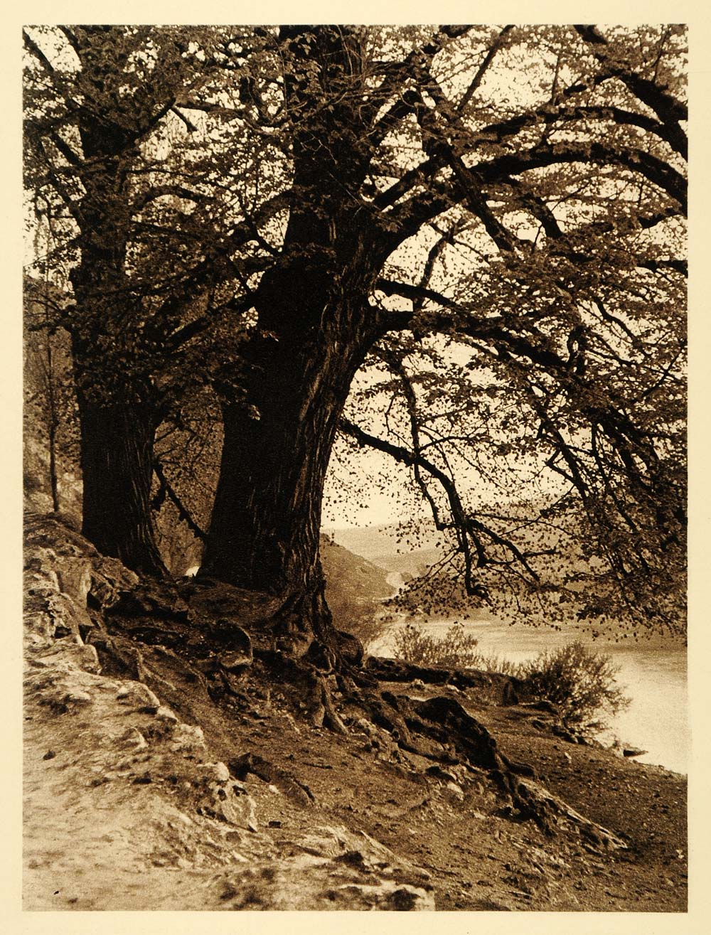 1924 Germany Bavaria Kallmunz Naab River Regensburg - ORIGINAL PHOTOGRAVURE GR3