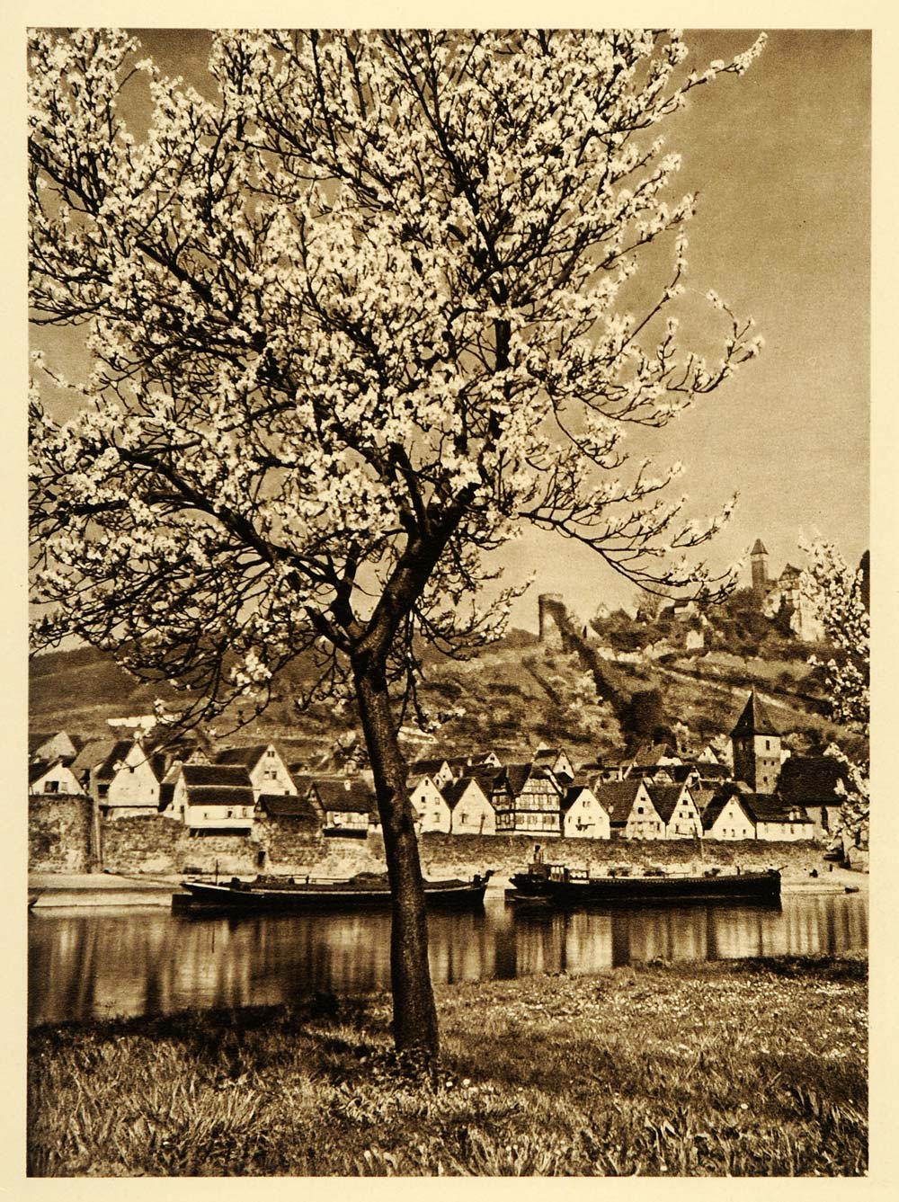 1924 Germany Hirschhorn Neckar River Hesse Photogravure - ORIGINAL GR3