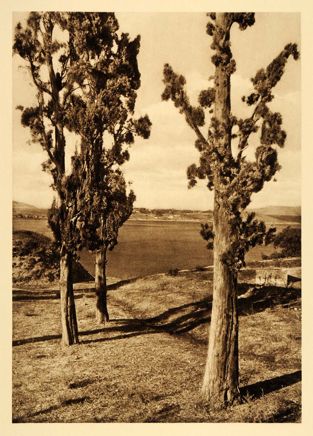 1928 Corfu Greek Island Kerkyra Landscape Photogravure - ORIGINAL GRC2
