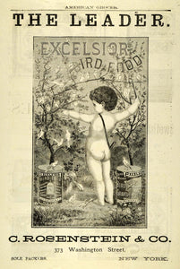 1889 Ad Excelsior Bird Food Rosenstein Nude Boy Naked - ORIGINAL GROC2