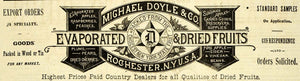 1889 Ad Dried Fruit Michael Doyle Produce Rochester - ORIGINAL ADVERTISING GROC2