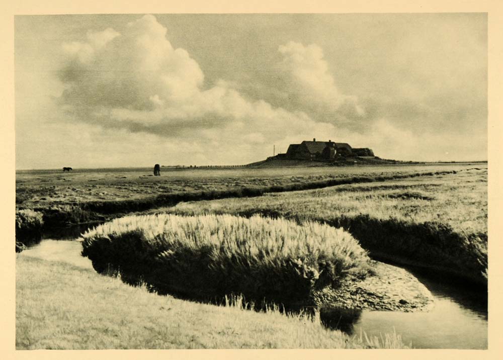 1927 Tidal Marsh Hallig Halligen Sea Island Bandixwarf - ORIGINAL HAL1