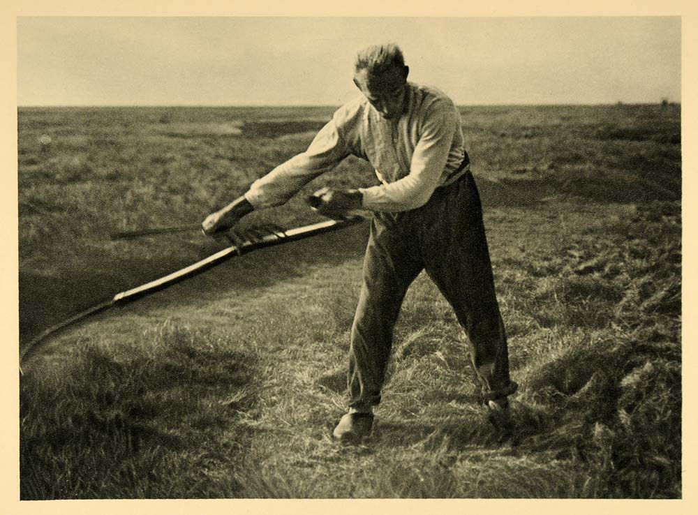 1927 Man Farmer Mowing Scythe Halligen Island Germany - ORIGINAL HAL1