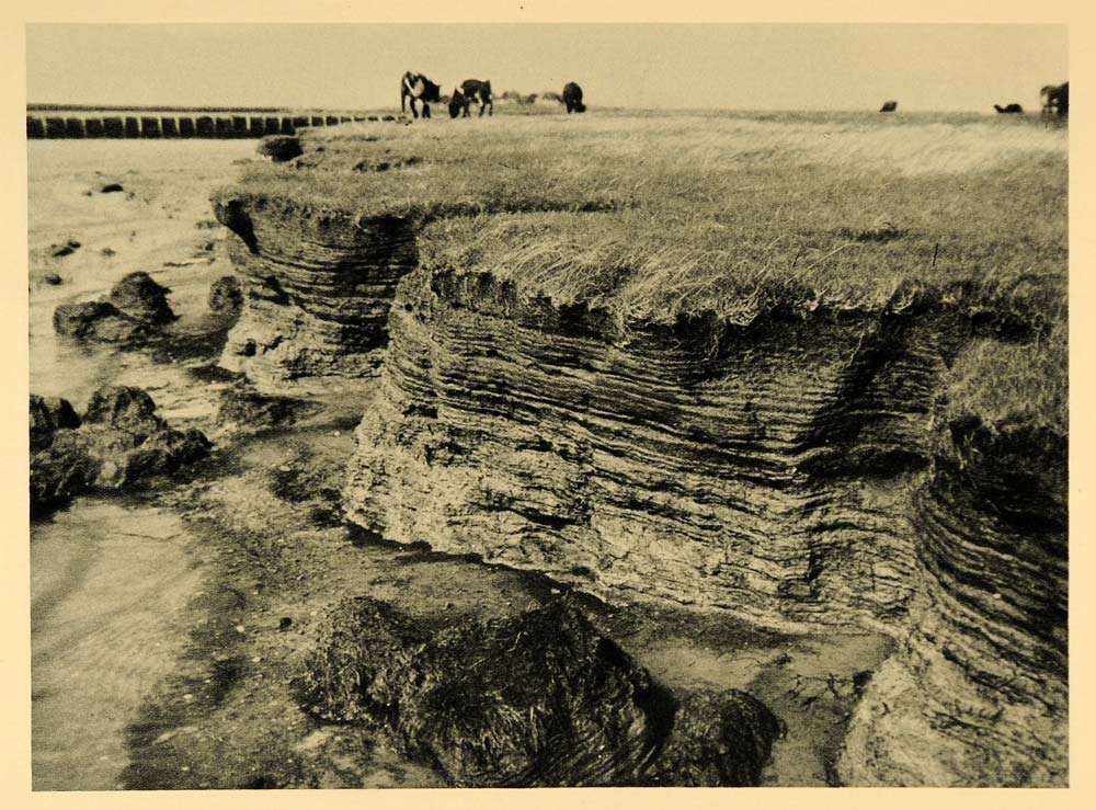 1927 Shore Hallig Oland Halligen Germany Photogravure - ORIGINAL HAL1