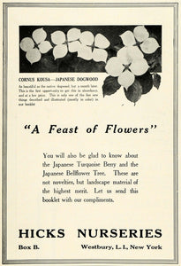 1920 Ad Cornus Kousa Japanese Dogwood Flower Hicks Nurseries Botanical HB2