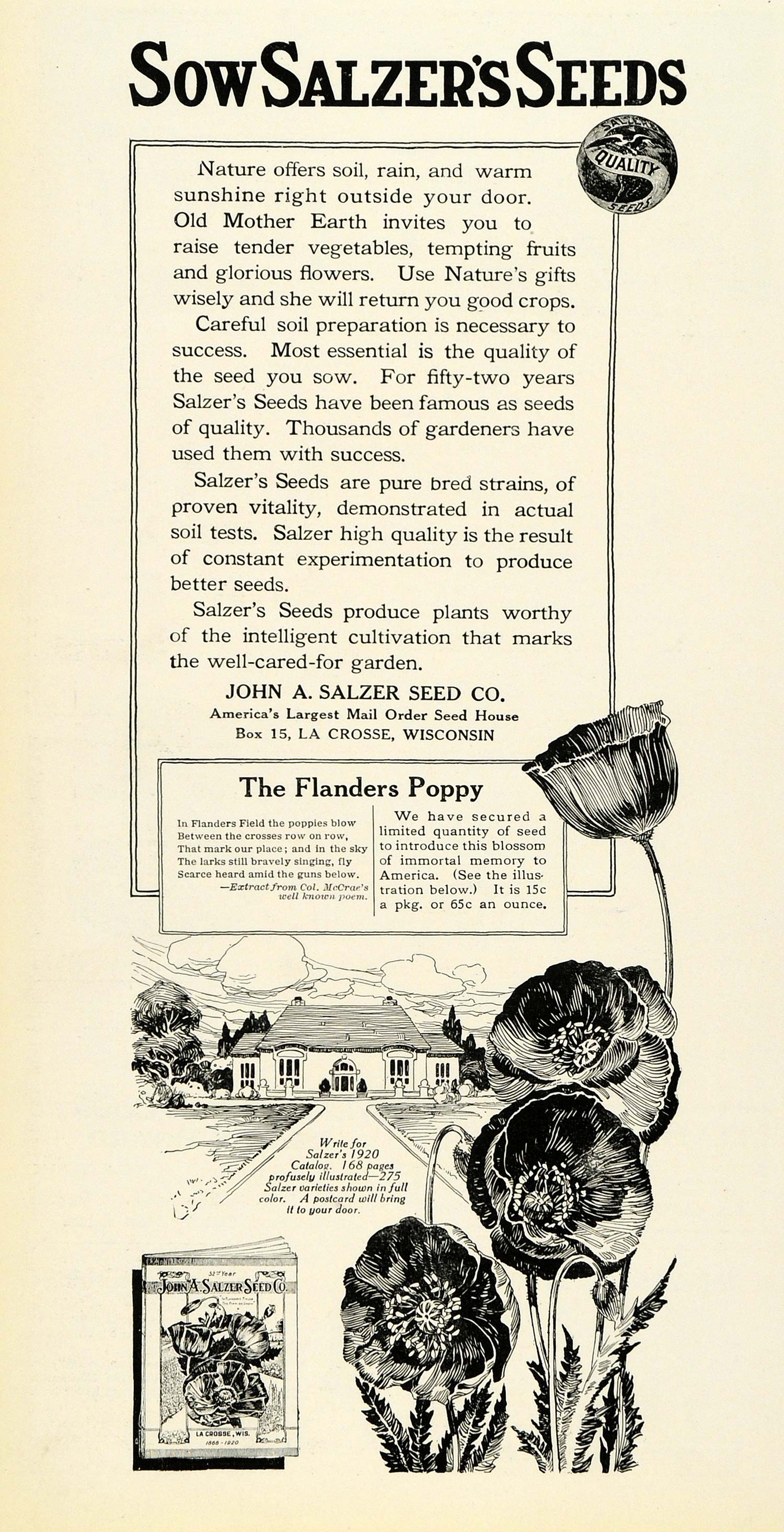 1920 Ad John A. Salzer's Seeds Flanders Poppy Flowers Papaver Rhoeas Floral HB2