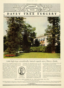 1930 Ad John Davey Tree Experts Surgery Landscaping Yard Walter P. Chrysler HB3