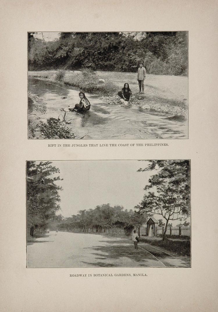1899 Philippines Manila Botanical Gardens Jungle Print - ORIGINAL HIST