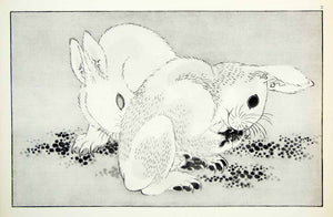 1955 Rotogravure Hokusai Shashin Gwafu Rabbits Bunnies Cute