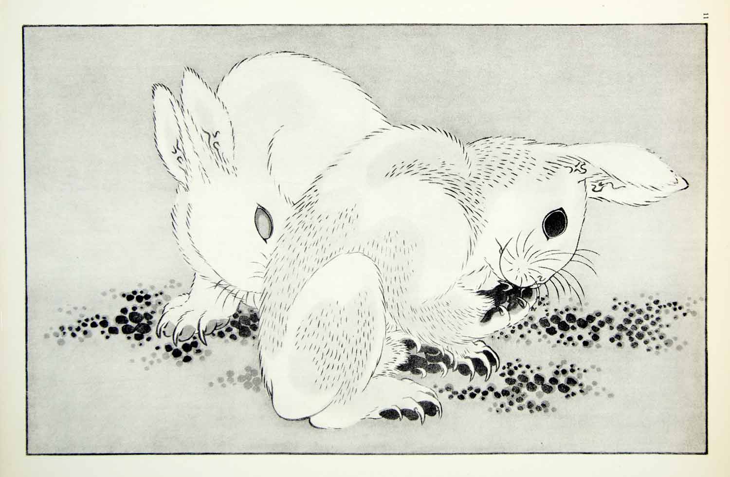 1955 Rotogravure Hokusai Shashin Gwafu Rabbits Bunnies Cute Animals Furry HOK1