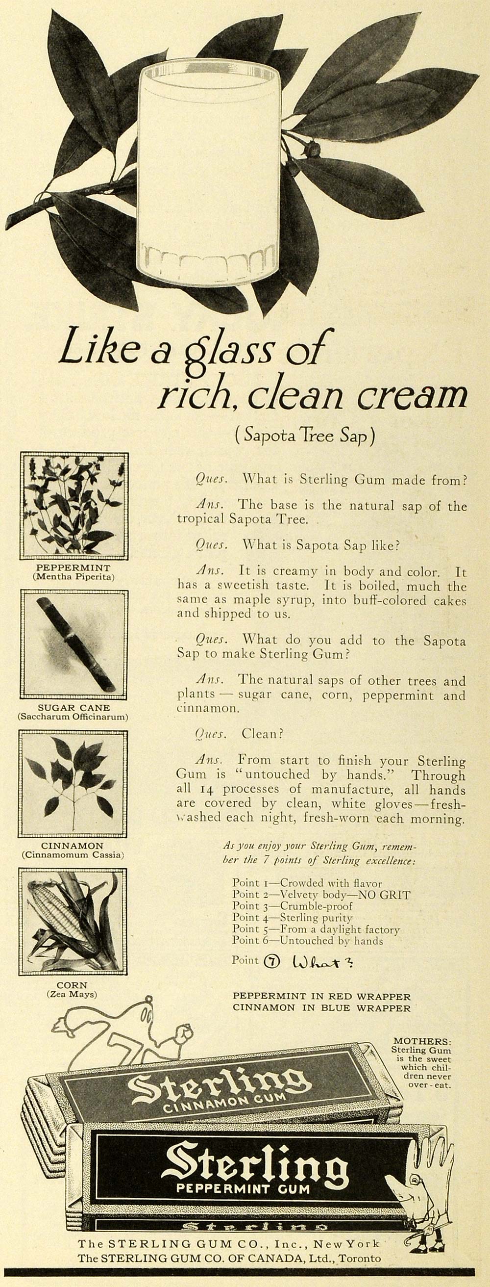 1916 Ad Sterling Chewing Gum Sapota Sap Ingredients - ORIGINAL ADVERTISING HST1