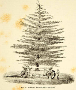 1887 Wood Engraving Art Barrons Tree Transplanting Machine Botanical Nature IDG1 - Period Paper

