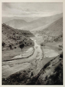1928 Rice Paddy Mountain Valley Jammu Kashmir India - ORIGINAL PHOTOGRAVURE IN1