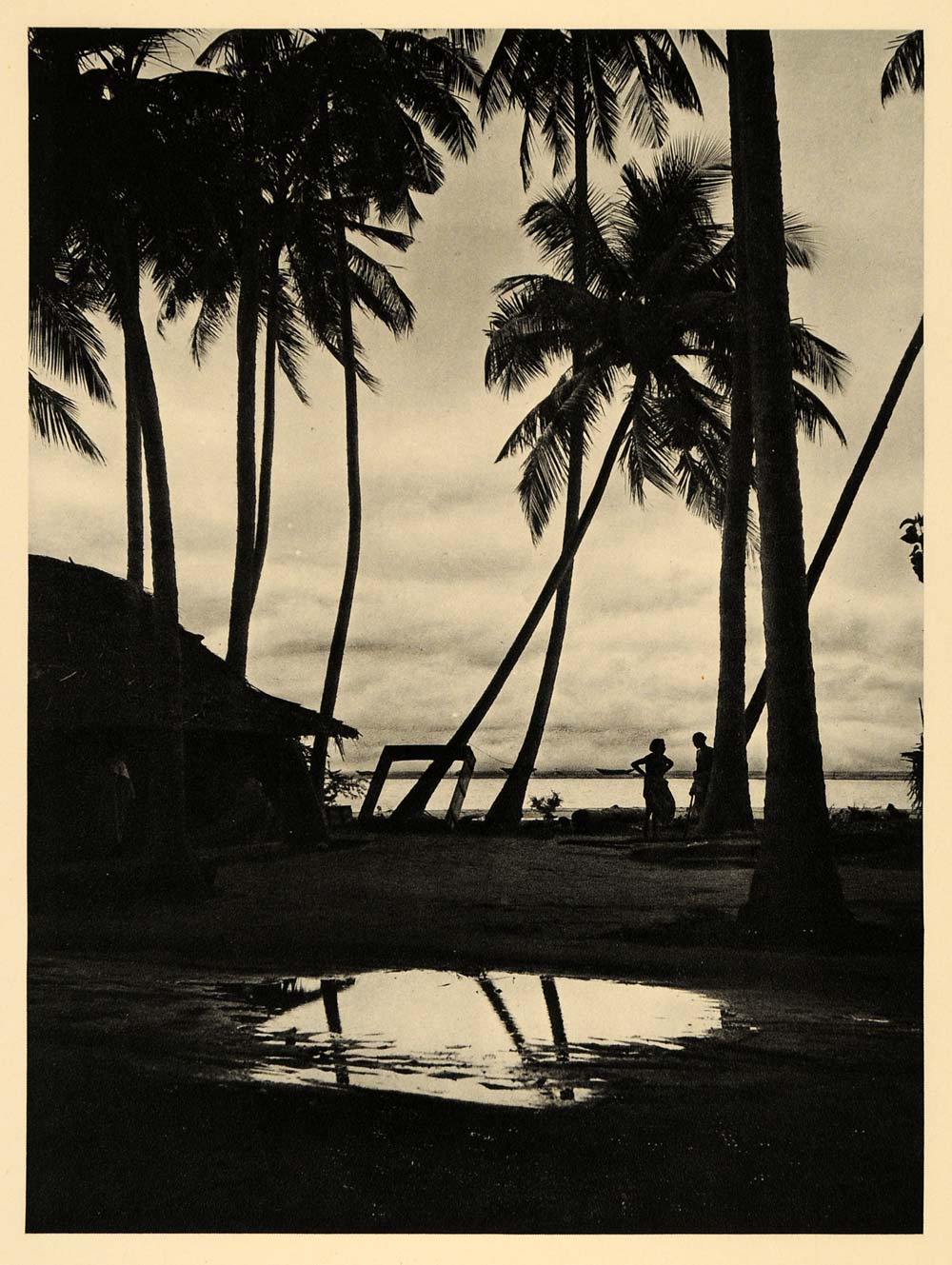 1929 Photogravure Negombo Sri Lanka Ceylon Gulf of Mannar Beach Coconut Trees